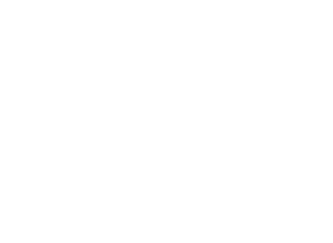 logo curvelo
