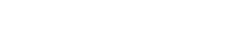 pansera-logo-horiz-branco 1